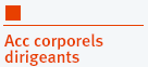 Accidents corporels mandataires-dirigeant