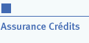 Assurance cr&eacute;dit auto
