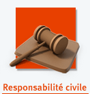 Responsabilit&eacute; civile