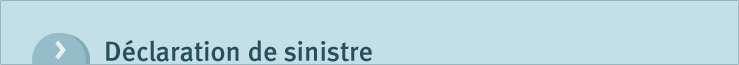 D&eacute;claration de sinistre