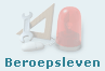 Beroepsleven