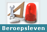 Beroepsleven
