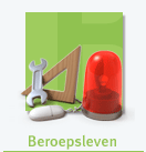 Verzekeringen Beroepsleven