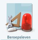 Beroepsverzekering