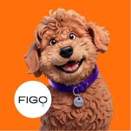 Figo, Assurance pour Animaux