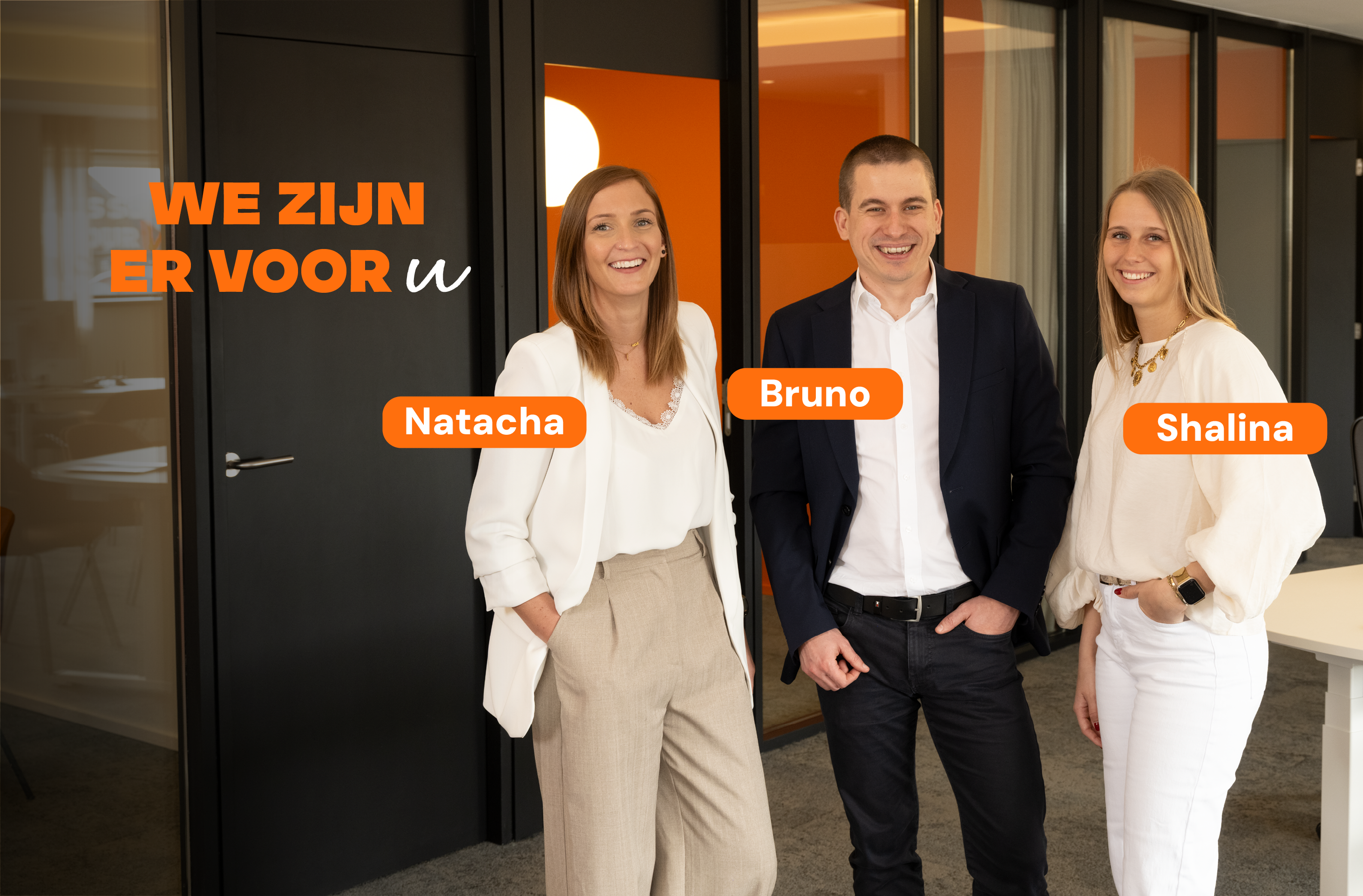 Meet the team