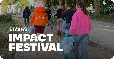 Impact Festival