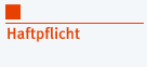 Haftplflicht